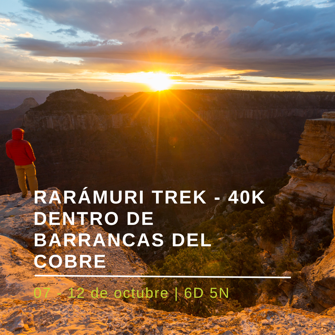 Senderistas avanzando por un cañón profundo con vista panorámica de las Barrancas del Cobre.